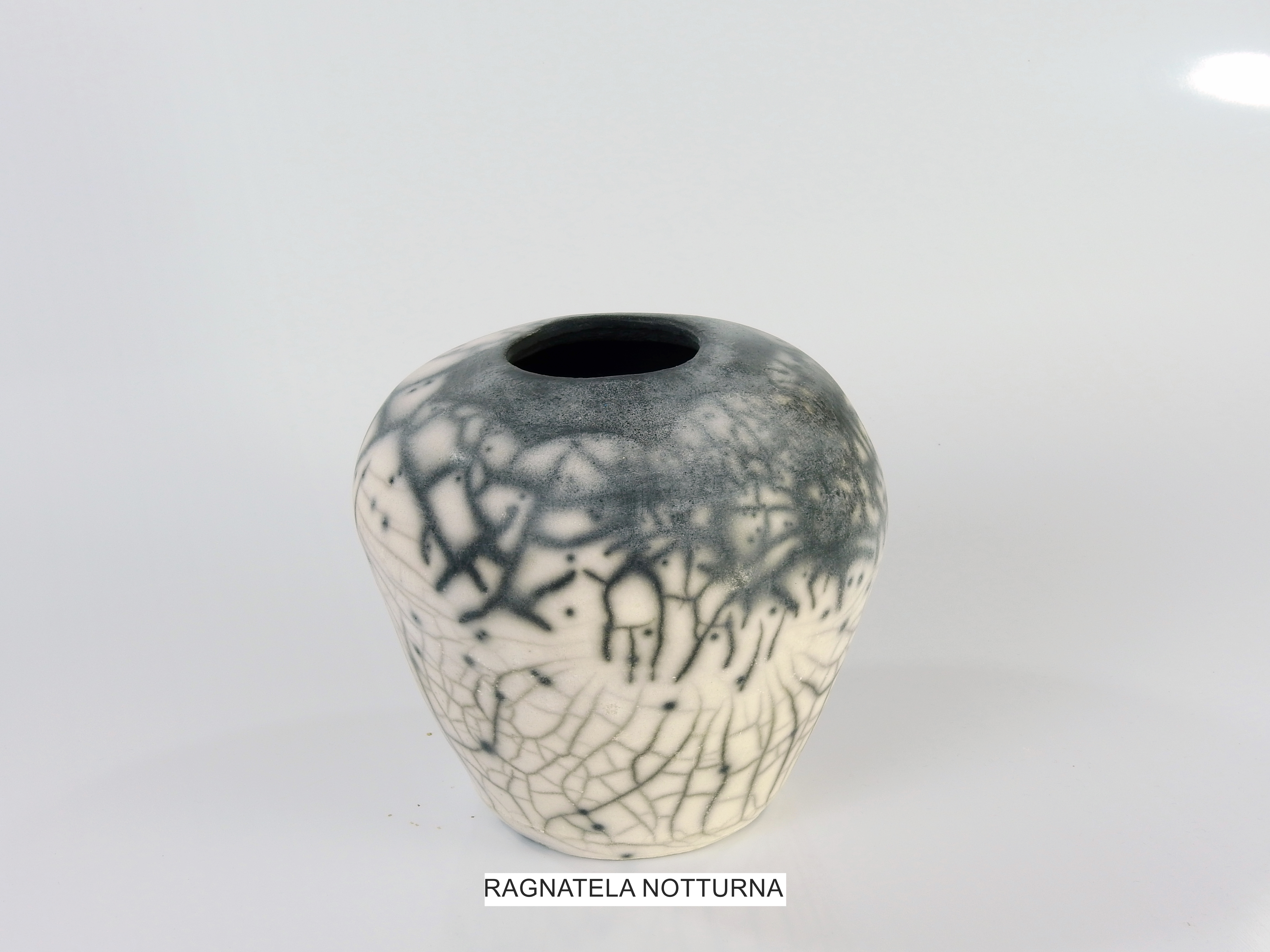Vasi notturni - immagine 9